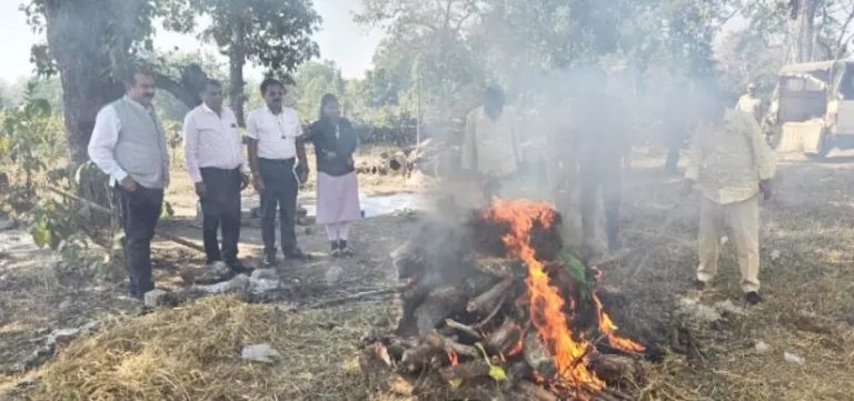 तेंदुए की मौत: तेज रफ्तार वाहन की टक्कर से हुआ हादसा, इस तरह से लोगो ने किया अंतिम संस्कार संपन्न...