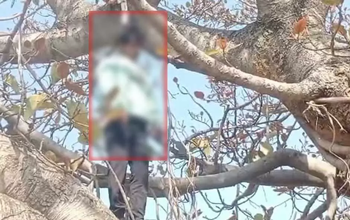 CG BREAKING: युवक की पेड़ से लटकी मिली लाश, इलाके में फैली सनसनी, जाने क्या है इस पूरे मामले की पूरी कहानी…