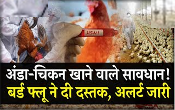 CG ब्रेकिंग: छत्तीसगढ़ के इस जिले में बर्ड फ्लू का कहर, हजारों मुर्गियां और अंडे नष्ट, प्रतिबंध लागू, जिला प्रशासन ने की त्वरित कार्रवाई...