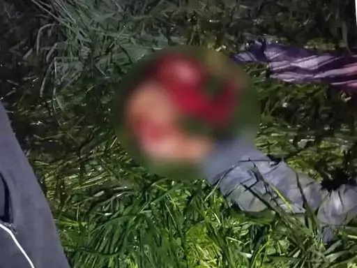 दिल दहला देने वाली घटना: कटी पतंग के पीछे दौड़ा मासूम, आवारा कुत्तों ने हमला कर नोंच-नोंचकर उतारा मौत के घाट...