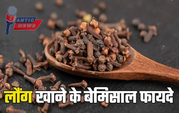 लौंग के चमत्कारी फायदे: मसाले से सेहत तक एक अनमोल खजाना.....