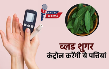 सिर्फ 1 घंटे में ब्लड शुगर कंट्रोल! डायबिटीज मरीजों के लिए रामबाण है ये पत्ता....