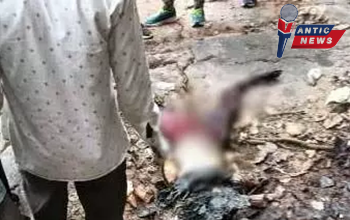 दिल दहला देने वाली घटना: वाटरफॉल से मिली युवती की लाश, इलाके में फैली सनसनी....