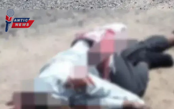 नेशनल हाईवे पर दर्दनाक हादसा: ट्रेलर की टक्कर से टीचर की भयावह तरीके से हुई मौत....