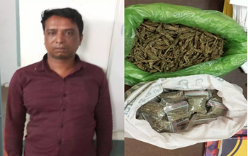 रायपुर में गांजा तस्कर गिरफ्तार, पुलिस ने 1.2 किलो गांजा किया ज़ब्त....