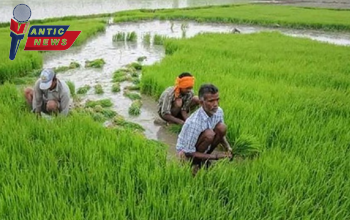 राजस्व निरीक्षकों और पटवारियों को सख्त निर्देश – किसानों के कार्य में देरी बर्दाश्त नहीं