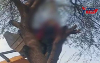 CG BREAKING: रहस्यमयी मौत! एक ही फंदे पर लटके मिले युवक और युवती के शव, गांव में सनसनी – पुलिस कर रही गहराई से जांच...