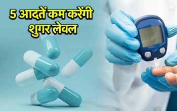 Diabetes Control Tips: शुगर को कंट्रोल में रखने के लिए अपनाएं ये 5 आसान उपाय, इंसुलिन भी रहेगा बैलेंस....