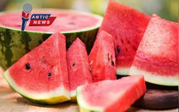 Benefits Of Watermelon: गर्मियों में तरबूज खाने के जबरदस्त फायदे: शरीर को ठंडक और सेहत को मिलेगी मजबूती, इन बीमारियों से मिलेगी राहत....