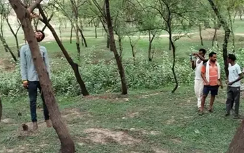 CG - परिवार छोड़कर दूसरे गांव में रह रहे युवक ने की आत्महत्या, पेड़ से लटका मिला शव....
